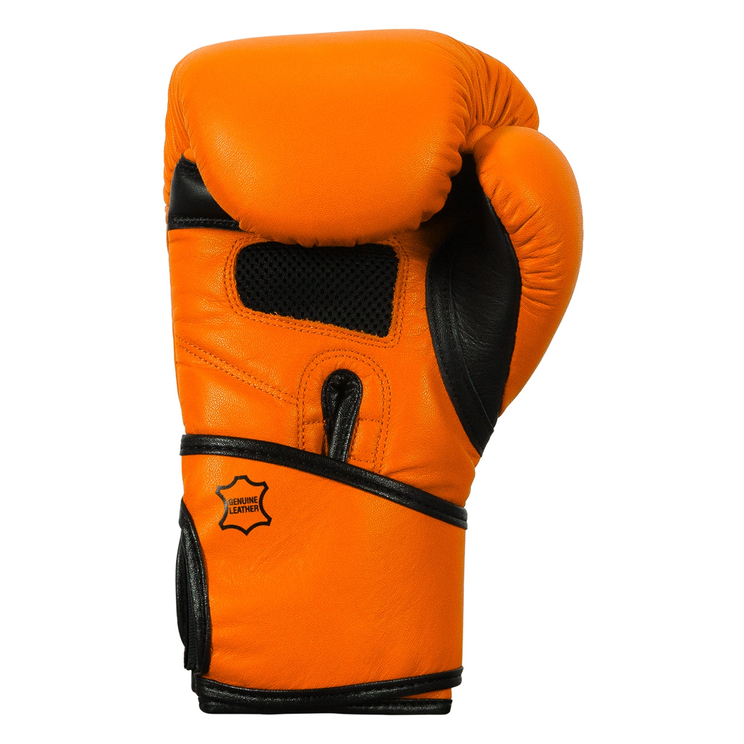 TITLE Boxing Dauntless Training Boxing Gloves for Men & Women - Premium MMA, Kickboxing, and Heavy Bag Workouts - Ideal for Gym, Home Training, and Fitness Enthusiasts