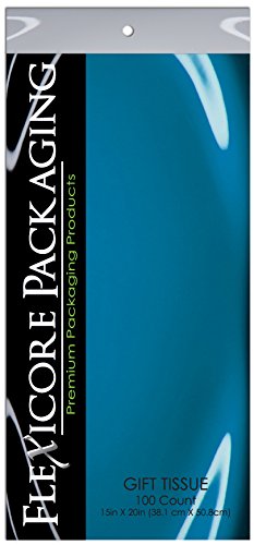 Premium Kraft Paper Gift Bags with Turquoise Tissue Wrap - 8