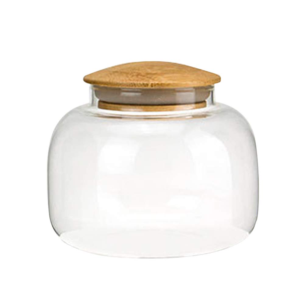 DOITOOL 550ml Glass Tea Canister with Lid - Airtight High Borosilicate Food Storage Jar for Tea, Coffee, Candy & Dry Goods - Perfect for Kitchen Pantry Organization & Home Decor