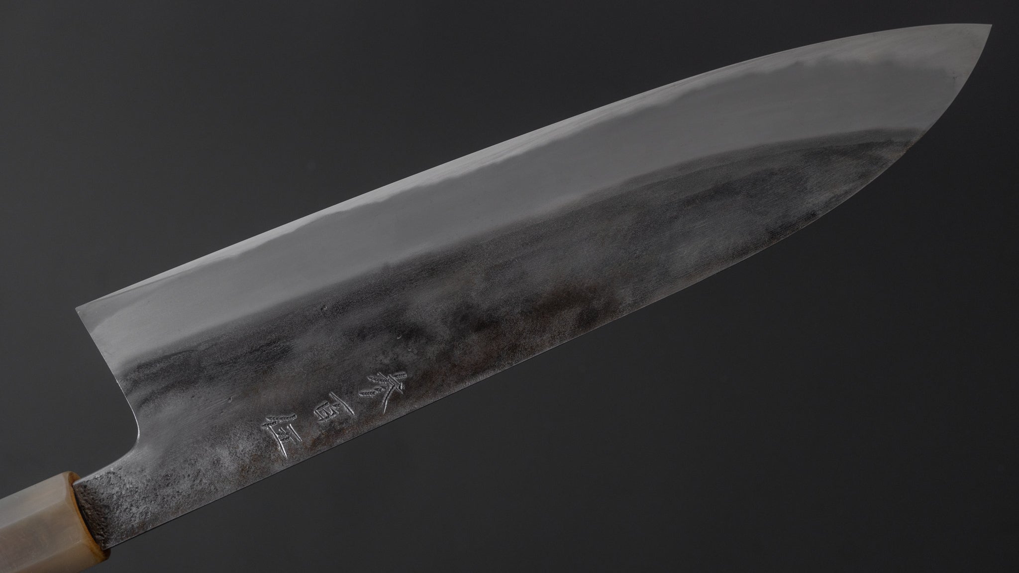 Premium Jiro Tsuchime Wa Gyuto 240mm Japanese Chef Knife - Taihei Tagayasan Handle (#305) - Perfect for Sushi, Meat Cutting & Professional Kitchen Use