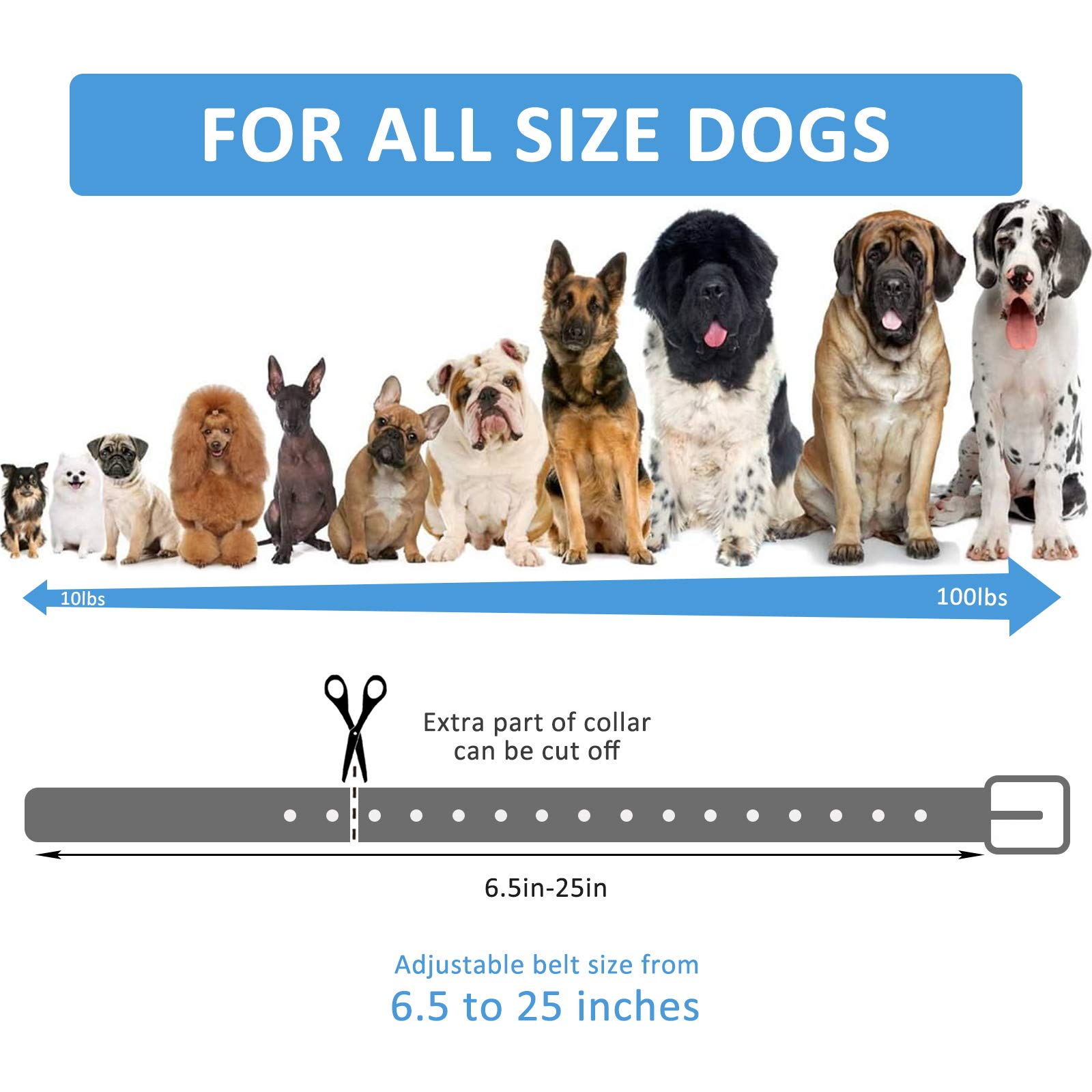 Adjustable Replacement Collar Strap for Dog Training Shock Collars & Electric Fence Receivers - Waterproof, Easy Clean, Pink (2-Pack) | Perfect for Outdoor Training & Pet Containment Systems