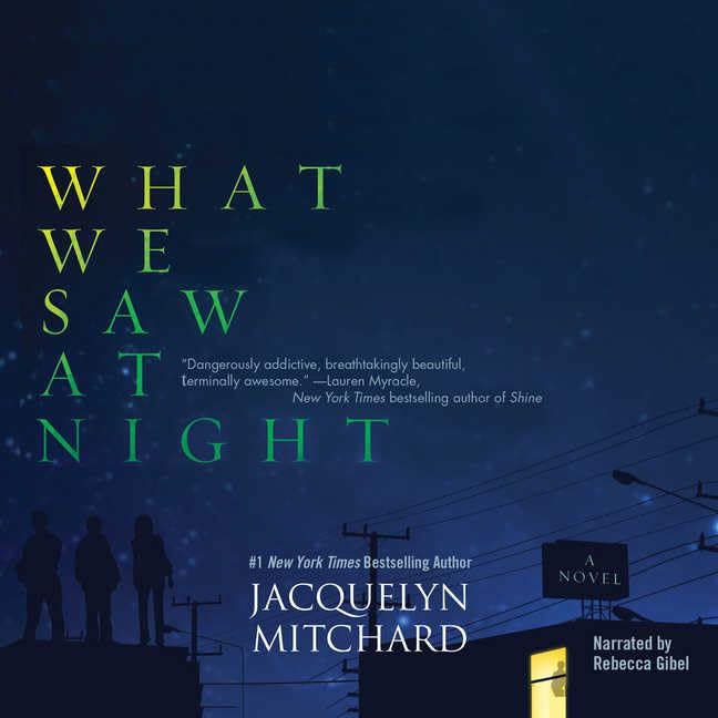 What We Saw at Night - Book 1 of the Thriller Mystery Series | Perfect for Late-Night Reading & Book Club Discussions