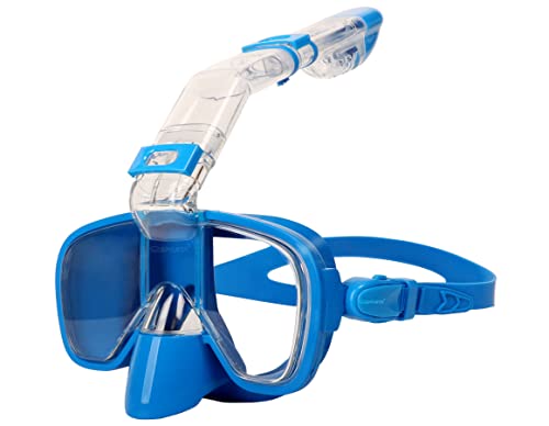 Sky Blue, Adult