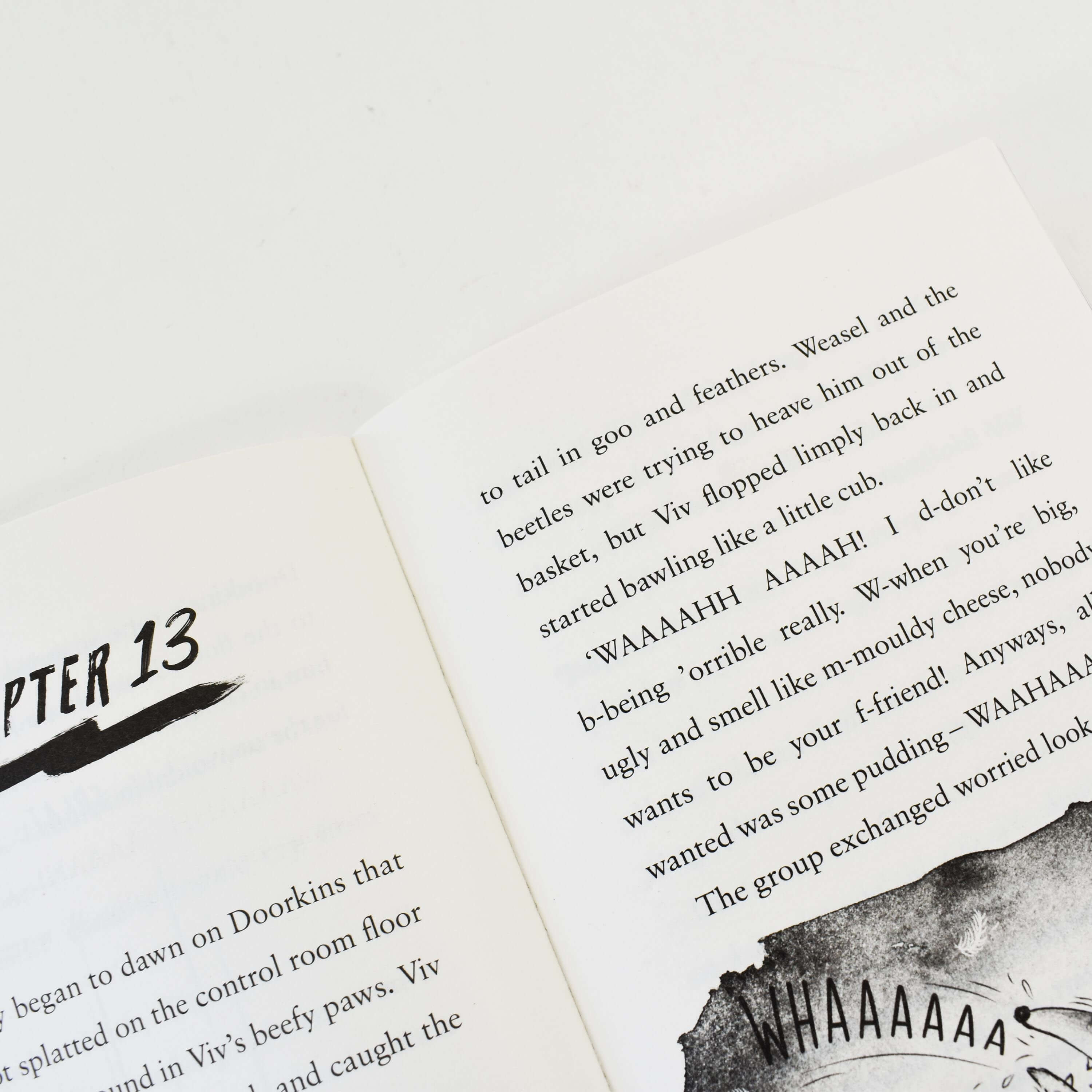 Agent Weasel Series 3 Books Collection Set by Nick East – Fun Adventure Chapter Books for Kids Ages 7-9 | Perfect for Bedtime Reading, Classroom Libraries & Young Readers