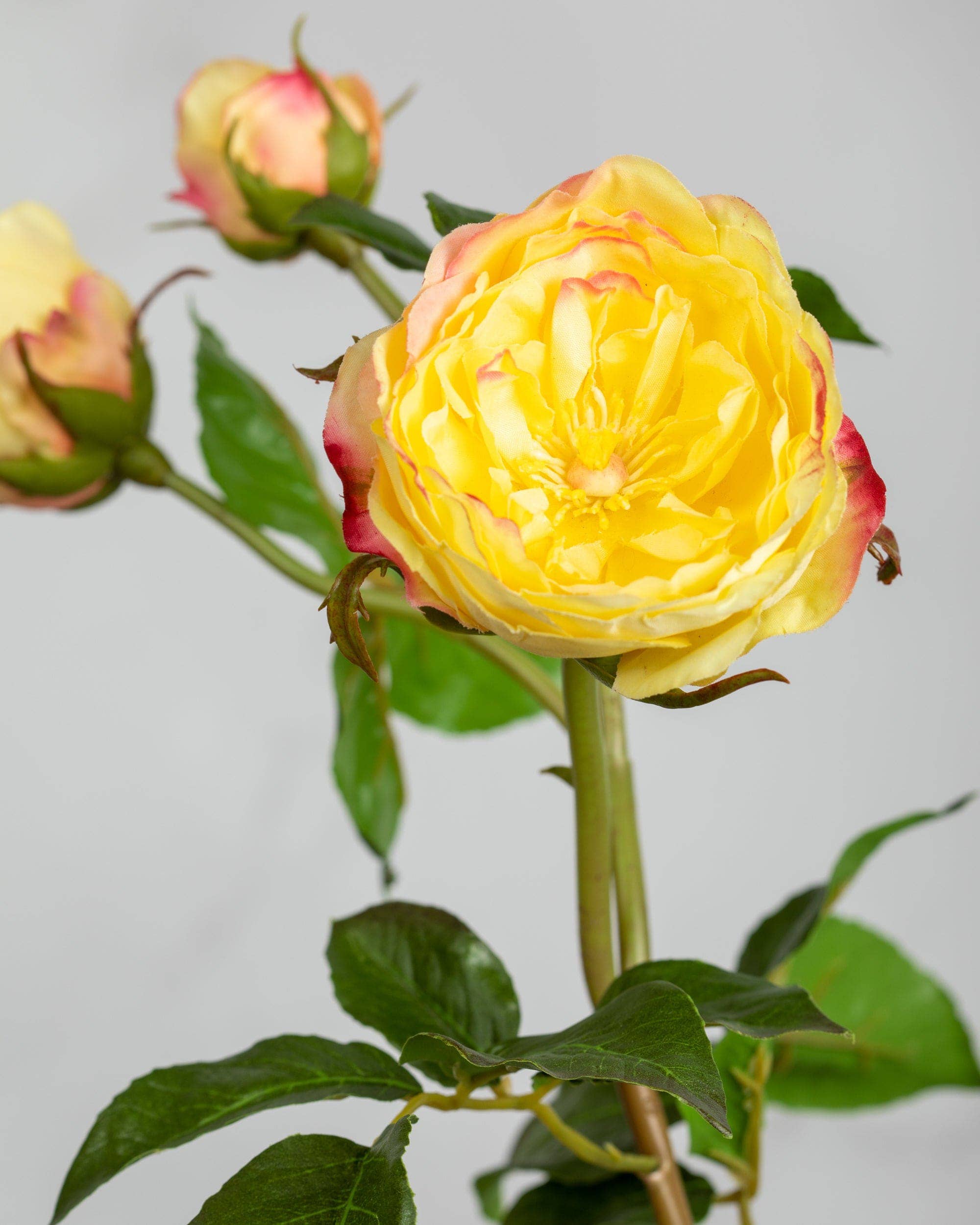 Artificial Yellow English Rose - 22 Inch Realistic Fake Flower for Home Decor, Wedding Centerpieces, and DIY Floral Arrangements