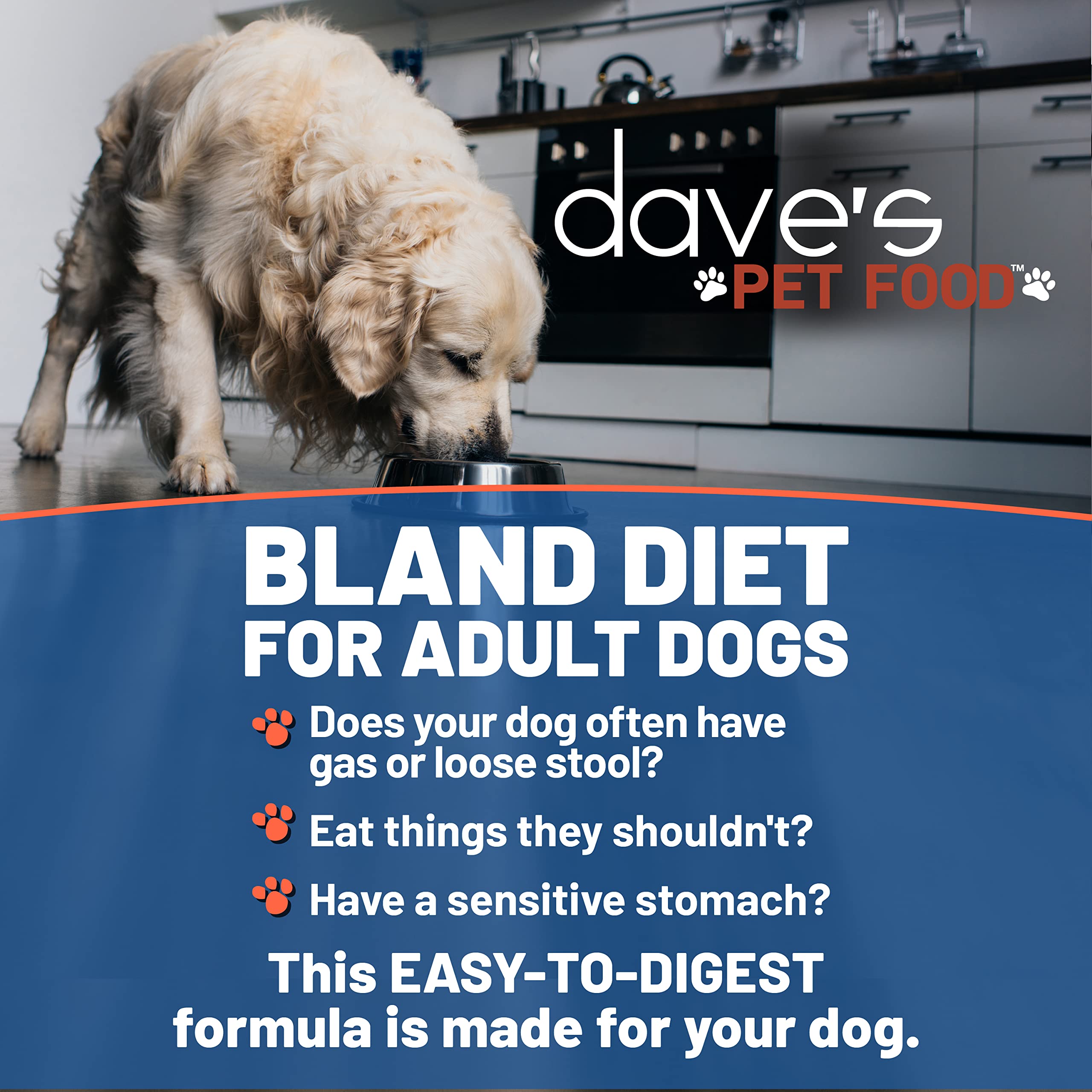 Dave's Pet Food Bland Dog Food (Lamb & Rice) - Sensitive Stomach Wet Dog Food for Digestive Care, Gluten-Free Canned Dog Food, 13.2 oz (Pack of 12) - Perfect for Dogs with Food Allergies & Upset Stomachs at Home or Travel