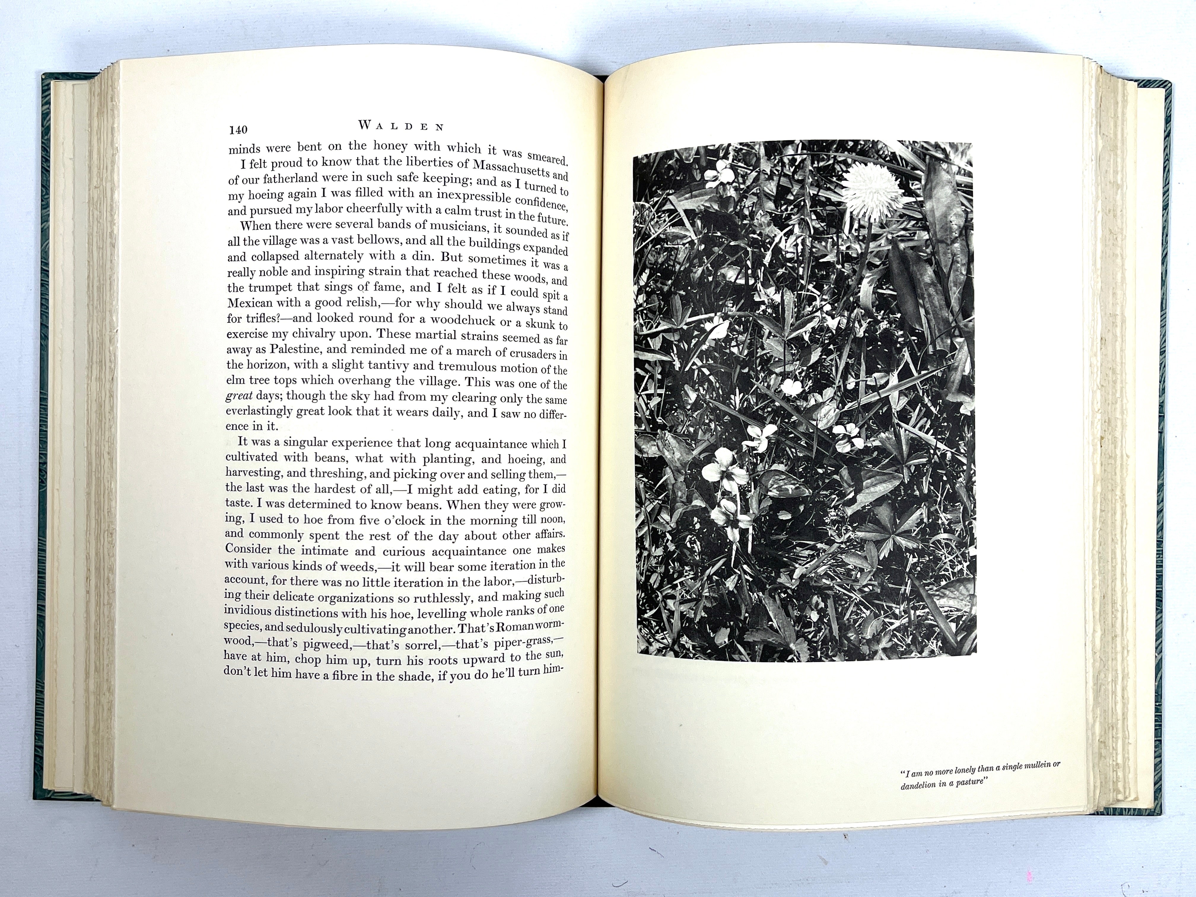 Walden or Life in the Woods by Henry David Thoreau - Limited Editions Club Signed Copy with Edward Steichen Photography | Classic American Literature, Nature Writing & Philosophy Book for Collectors, Home Library Decor and Literary Enthusiasts