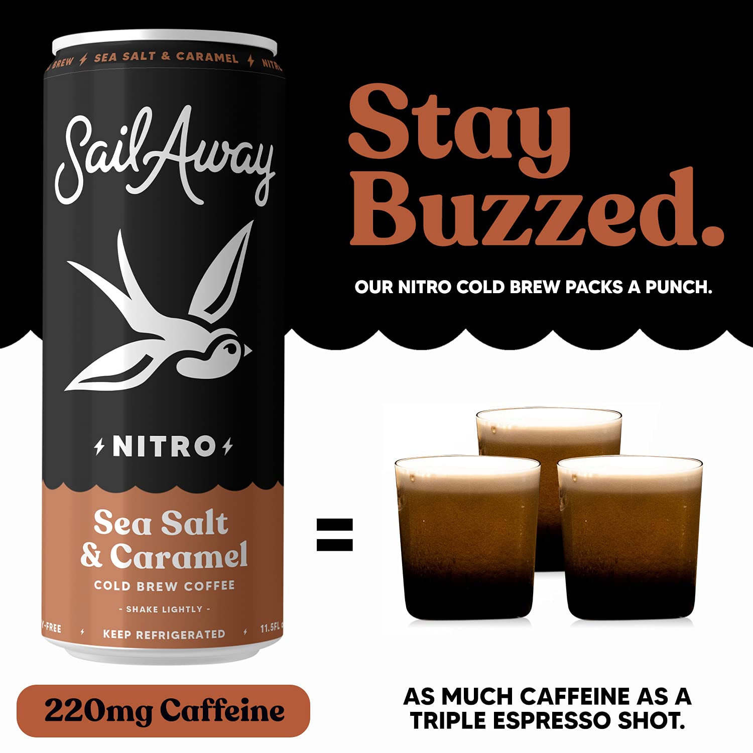 Nitro Cold Brew Coffee Cans - Low Acid Coffee Beverage with Nitrogen Infusion | 220mg Caffeine, Gluten Free, Organic, Keto Friendly, Sea Salt & Caramel Flavored (24 Pack) - Perfect for Office, Gym & Outdoor Adventures