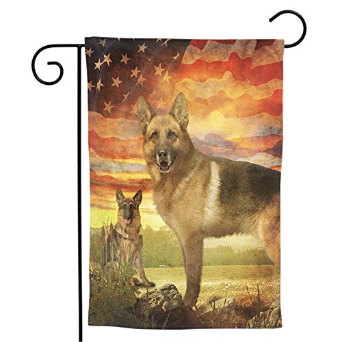 German shepard Dog