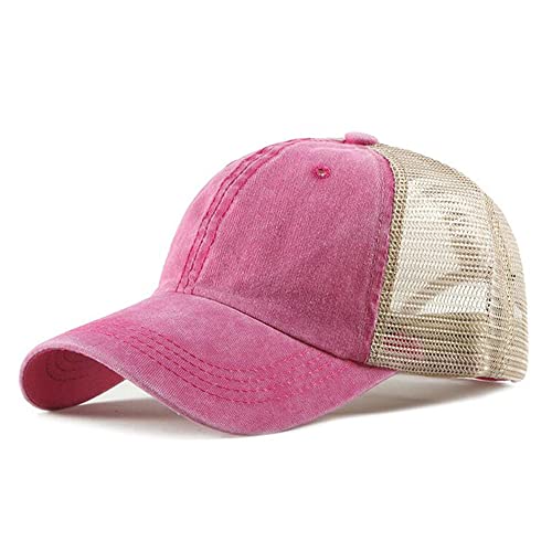 Zm02-pink