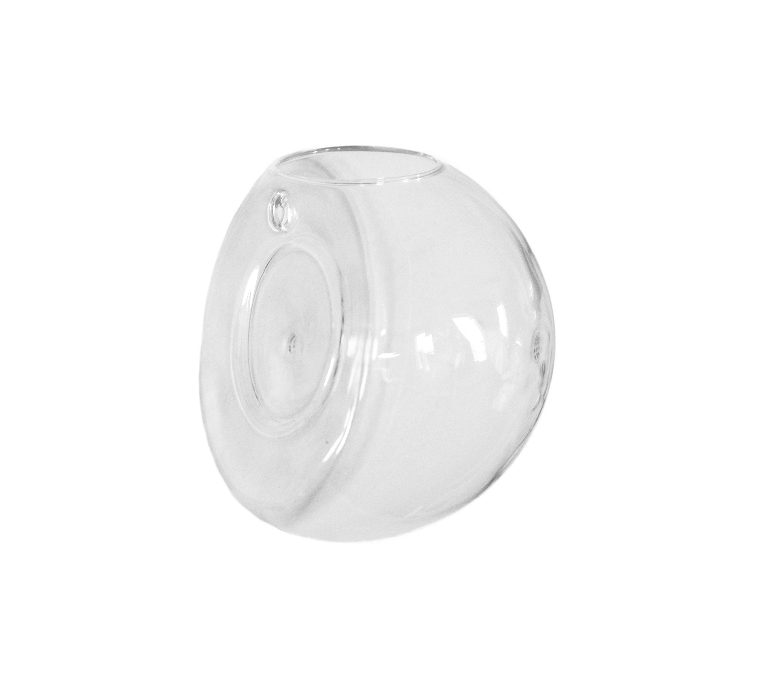 Hanging Glass Terrarium - Clear Half Round Wall Planter for Succulents, Air Plants & Home Decor | Perfect for Indoor Gardens, Living Room & Office Decor