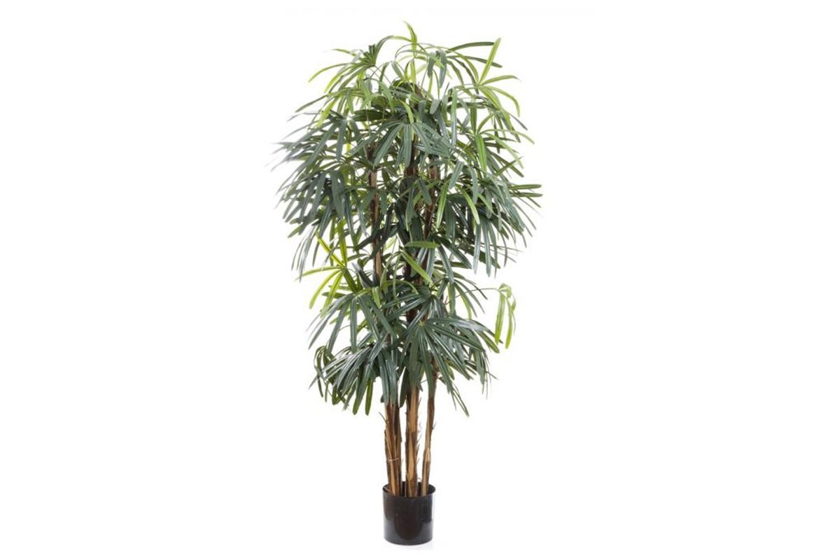 Premium Artificial Raphis Palm Tree - 6ft Tall Broad Leaf Fake Plant for Home & Office Decor - Perfect for Living Room, Bedroom, or Indoor Garden Decorations