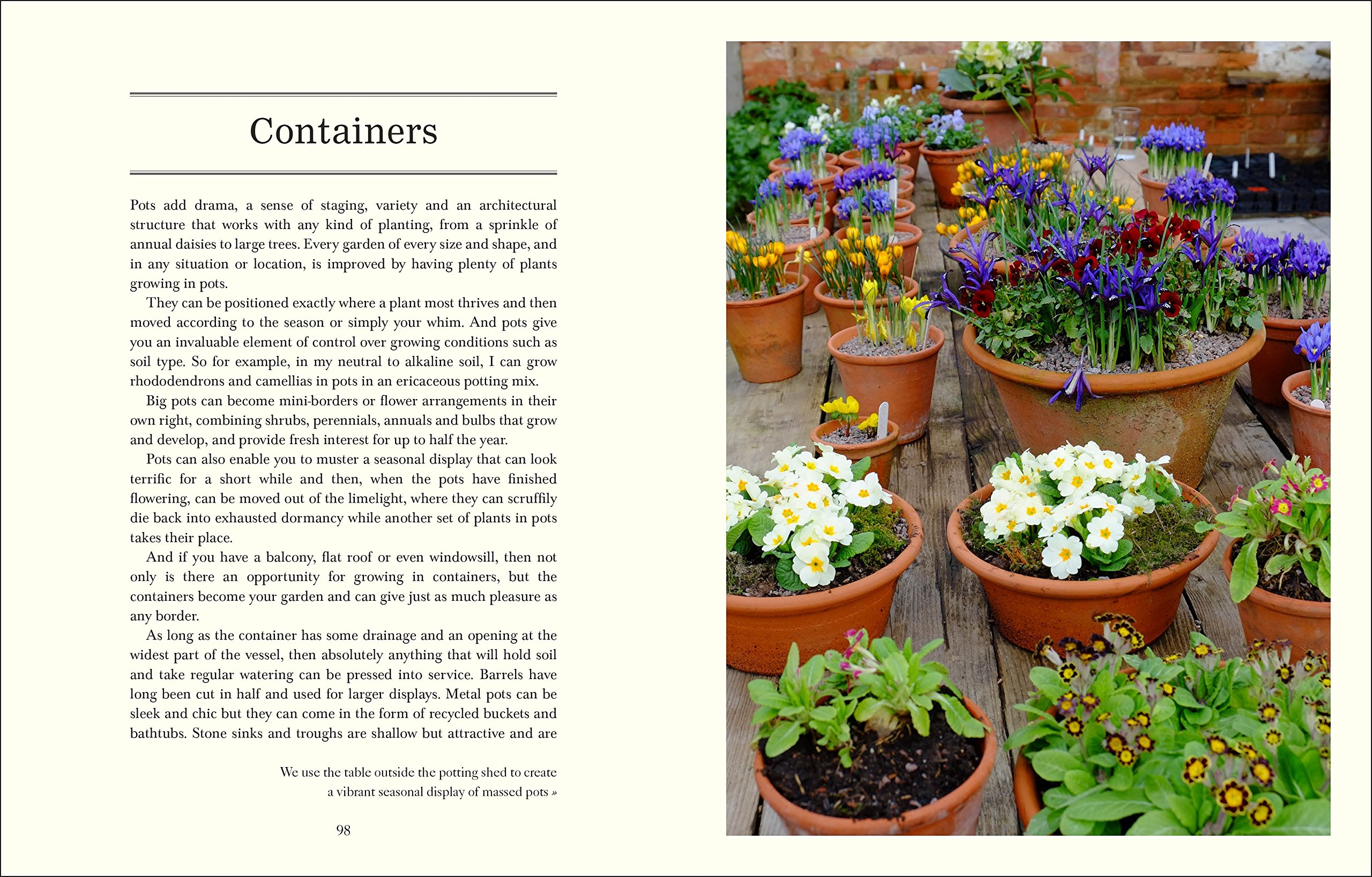 Down to Earth: Organic Gardening Tips & Wisdom for Sustainable Home Gardens | Grow Fresh Vegetables & Herbs