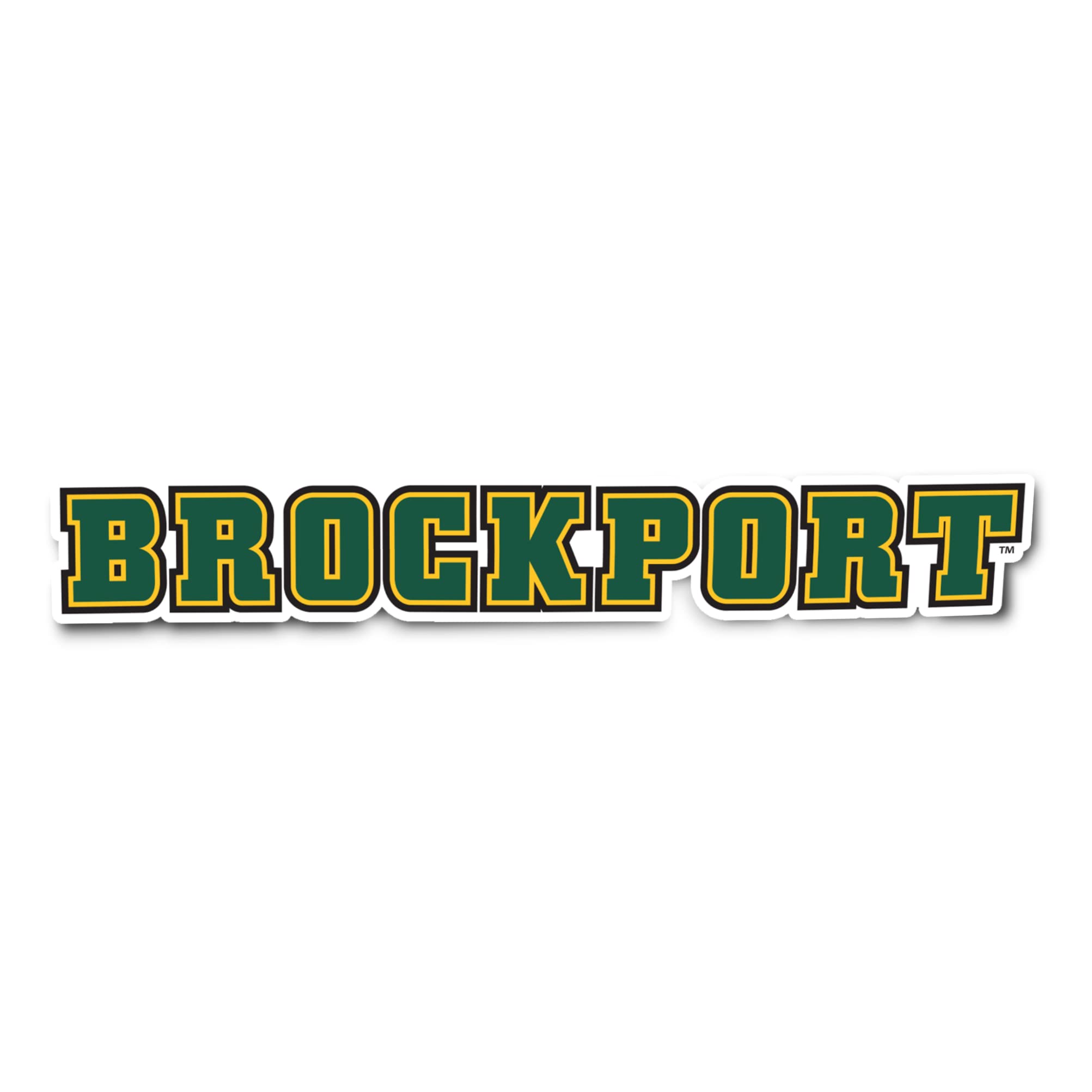 Desert Cactus Brockport Sticker - SUNY Golden Eagles Vinyl Decal for Laptop, Water Bottle, Car & Scrapbook - Durable Waterproof Decal (IND 33) - Perfect for College Dorms, School Spirit & Fan Gear