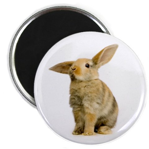 Easter Bunny Rabbit Fridge Magnet - 2.25 Inch Cute Animal Decor for Kitchen, Office & Home (Perfect for Easter Gifts & Holiday Decorations)