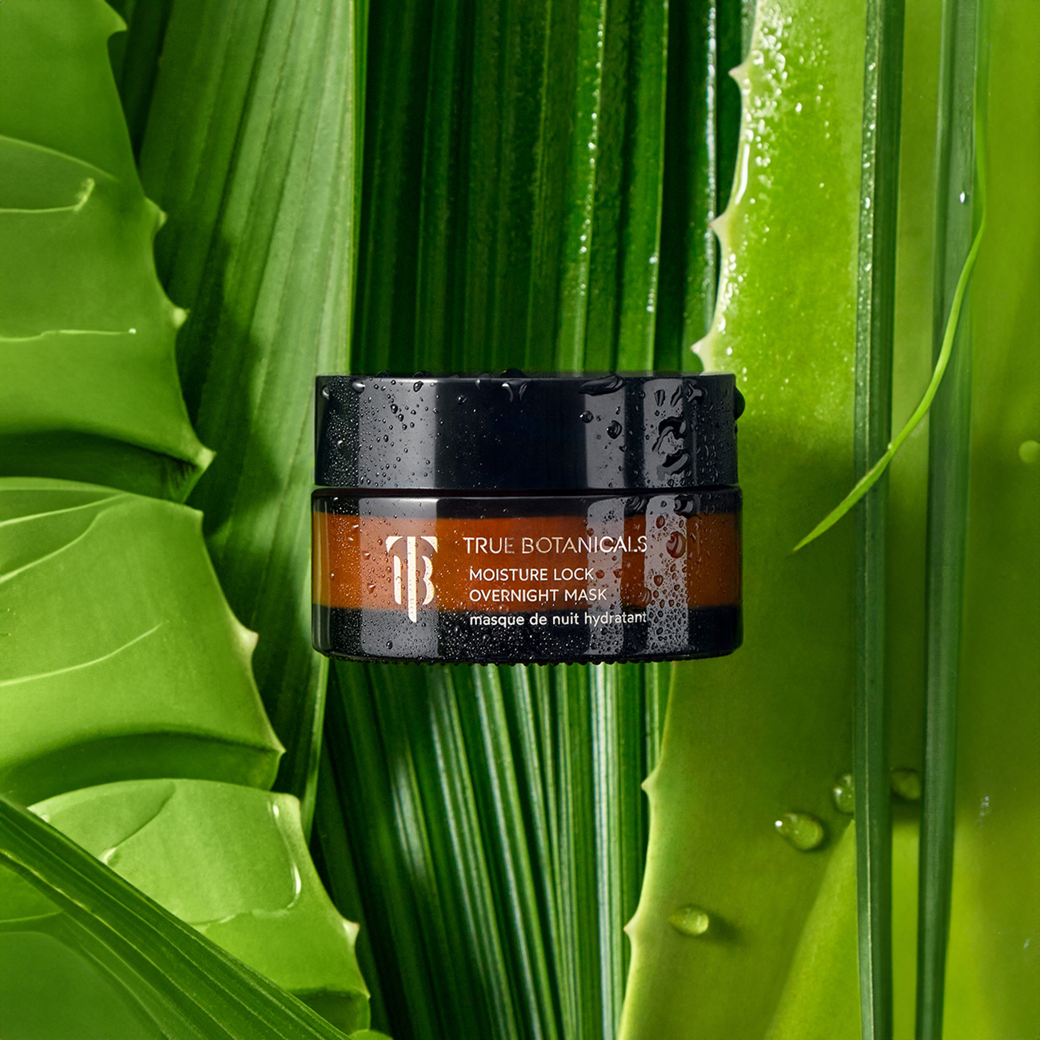 Moisture Lock Overnight Mask for Deep Hydration - Nighttime Face Cream for Dry Skin | Perfect for Winter Skincare & Post-Travel Recovery