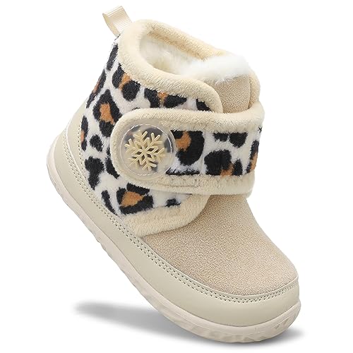 Spleopard