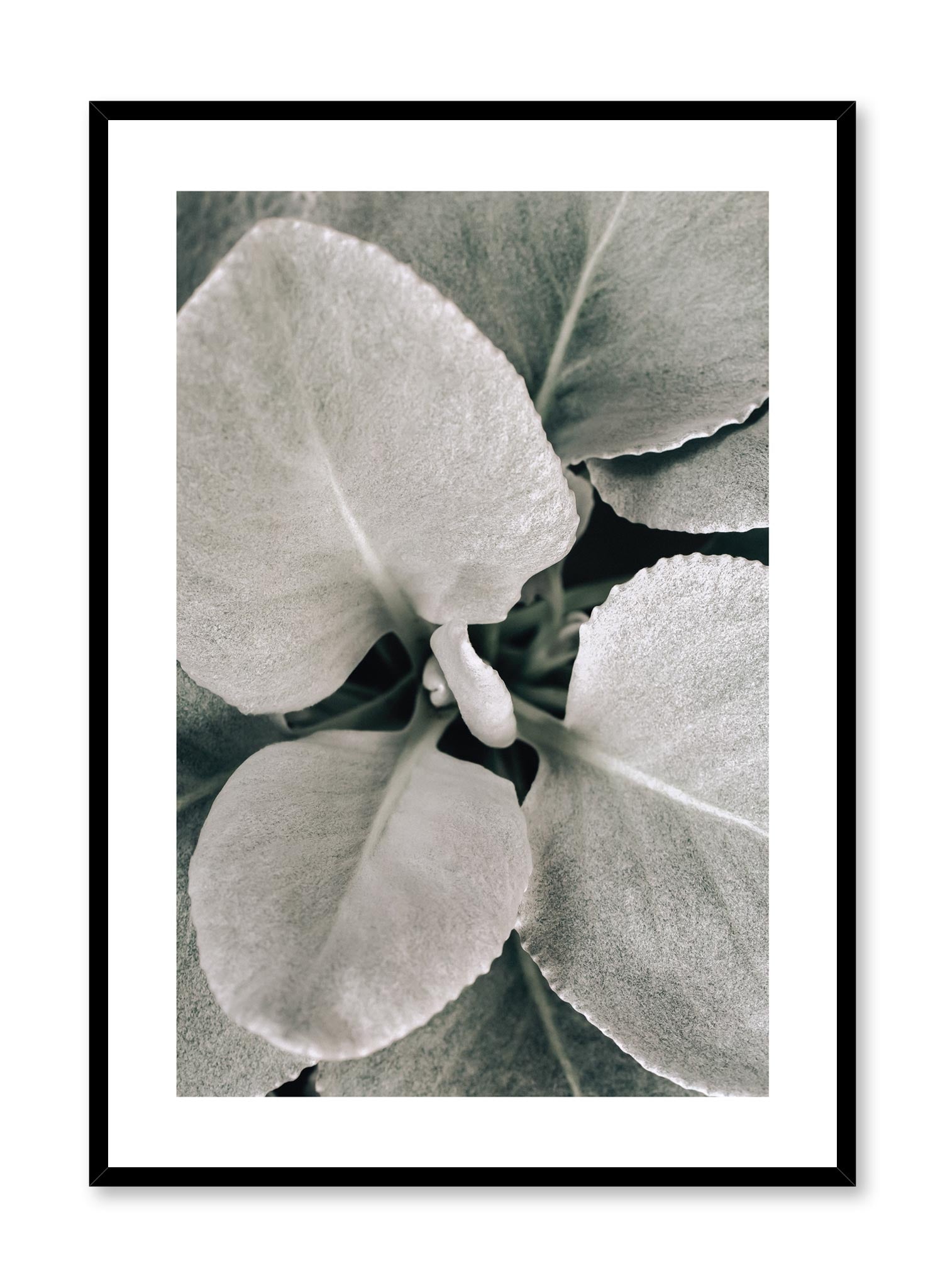 Dusted Leaves Wall Art Poster - Vintage Botanical Print for Home & Office Decor | Perfect for Living Room, Bedroom, and Study Spaces