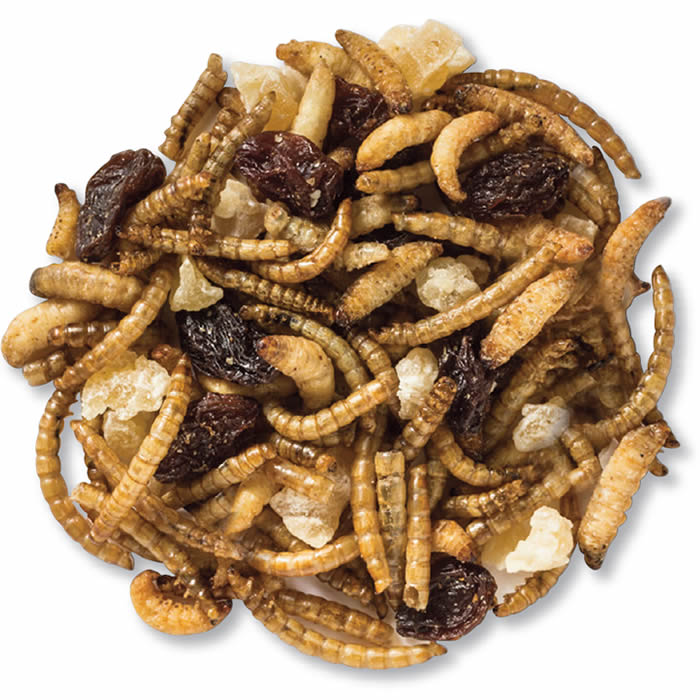 Duncraft Happy Bird Trail Mix Wild Bird Food - Premium Nutritious Seed Blend for Wild Birds - Attract Cardinals, Finches & More - Perfect for Backyard Feeders & Bird Watching