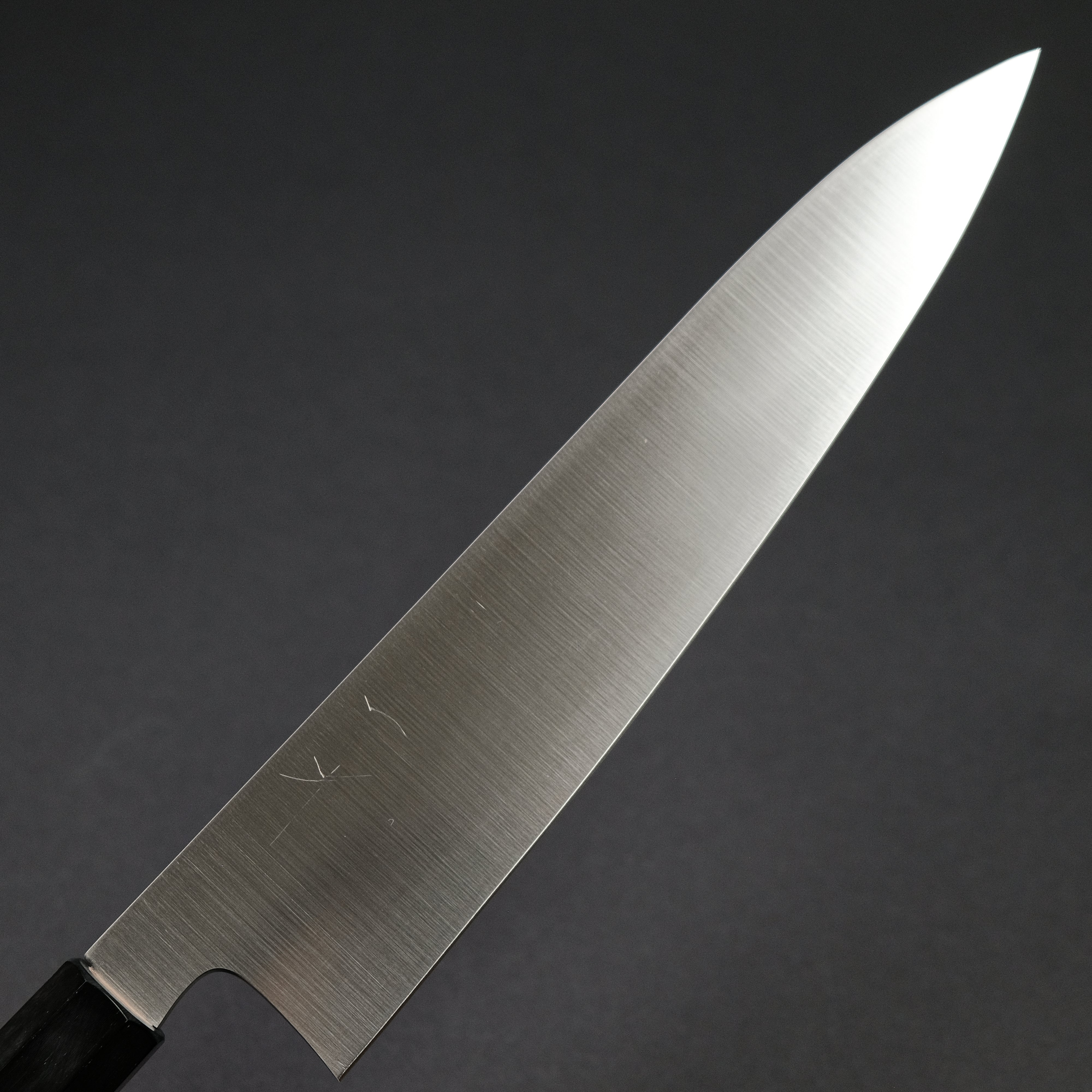 Hitohira SKR 240mm Gyuto Japanese Chef Knife - High Carbon Stainless Steel Blade with Ho Wood Handle - Perfect for Sushi, Meat Cutting & Professional Kitchen Use