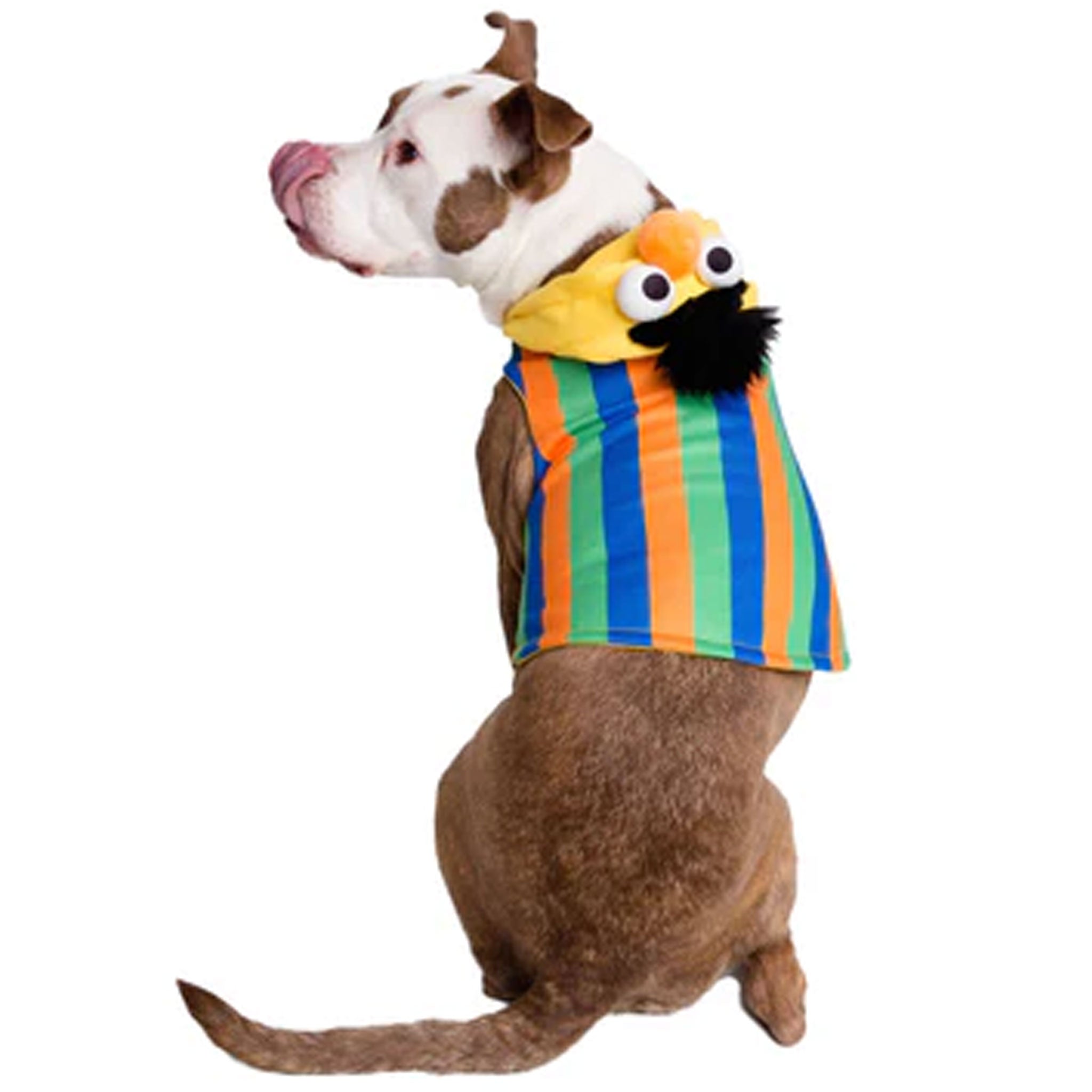 Pet Krewe Bert Costume for Dogs & Cats - Fun Halloween & Party Outfit for Pets | Cute & Comfortable Pet Costume for Dress-Up & Photo Shoots