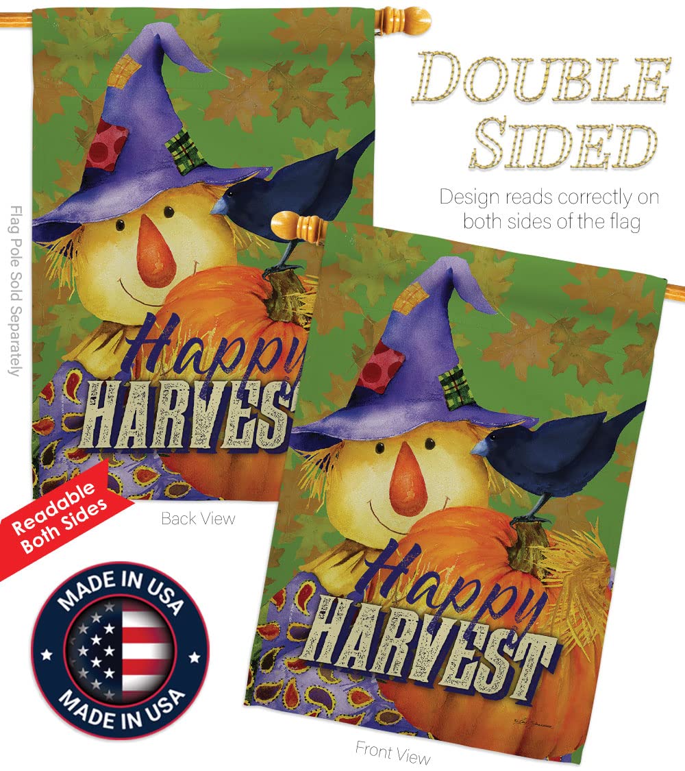Happy Harvest Scarecrow Flag Set - 28