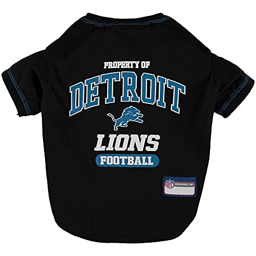 Detroit Lions
