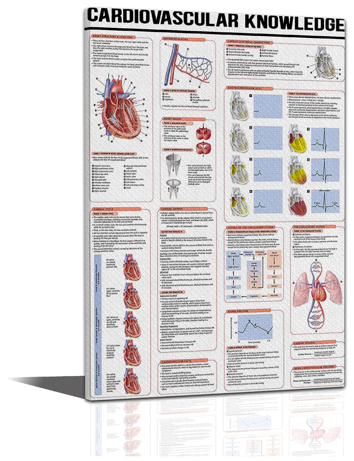 3D Cardiovascular System Anatomy Poster - Human Body Educational Science Wall Art for Classroom, Home Decor - Vintage Style Framed Canvas Gift for Christmas, Birthday, Doctors & Students - Custom Sizes Available (Perfect for Medical Offices, Schools & Home Study Rooms)