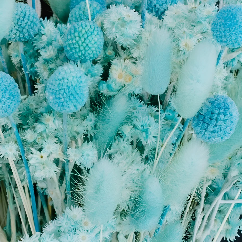 Premium Aqua Blue Dried Flowers for Home Decor - Natural Dried Bouquets for Wedding Centerpieces, DIY Crafts, and Aesthetic Room Decor