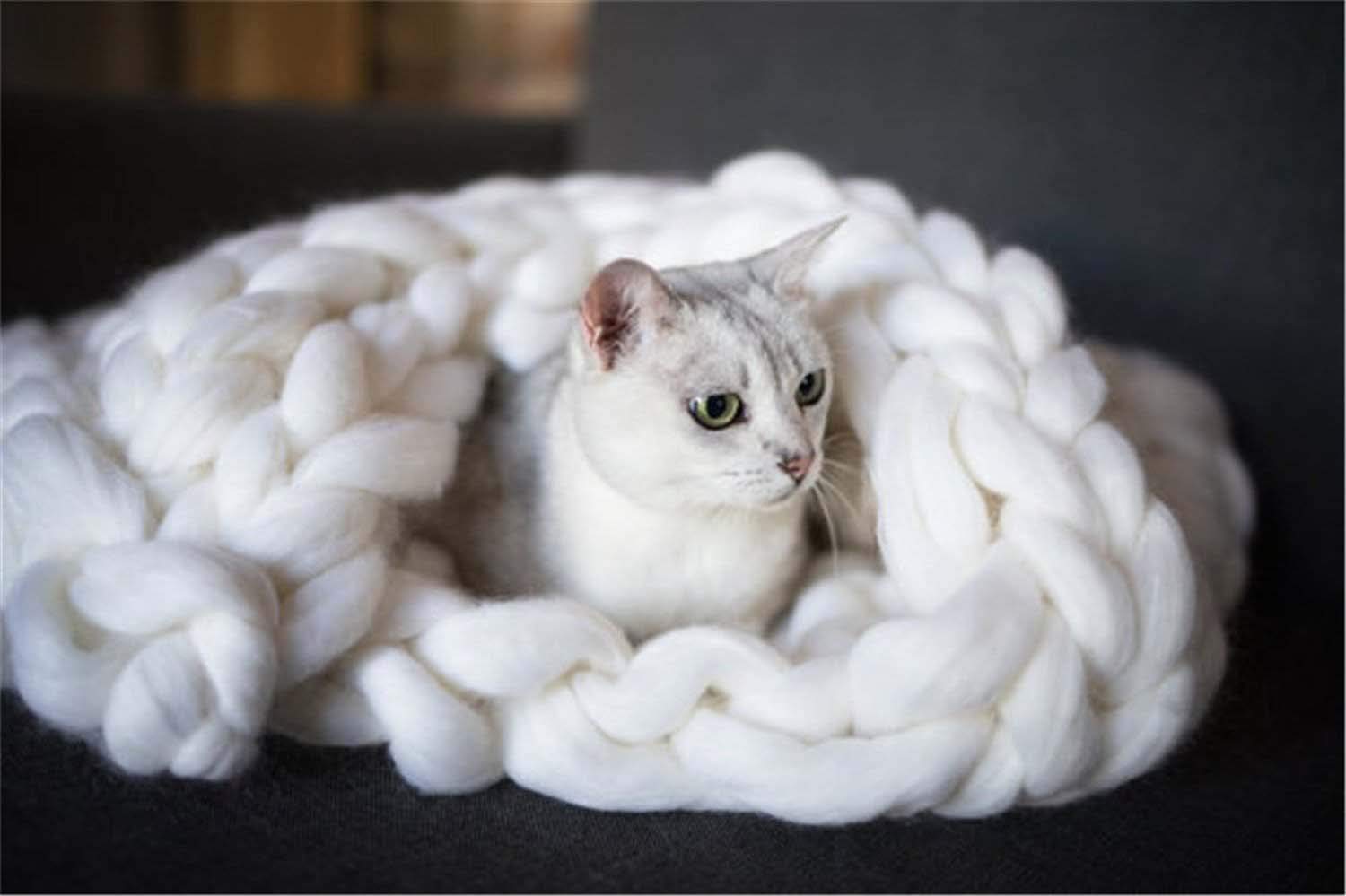 **Chunky Knitting Yarn for Arm Knitting - Super Bulky Roving Yarn for Giant Knit Throws, Blankets, and Home Decor - Perfect for DIY Bedroom, Pet Beds, Sofa, Chair, and Yoga Mat Rugs**