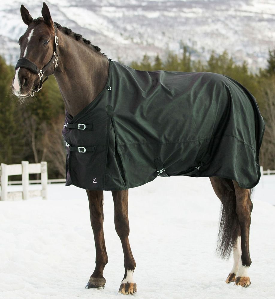 Premium Weaver Leather Horse Blanket - Durable & Comfortable Equestrian Blanket for Horses - Perfect for Riding, Training & Stable Use