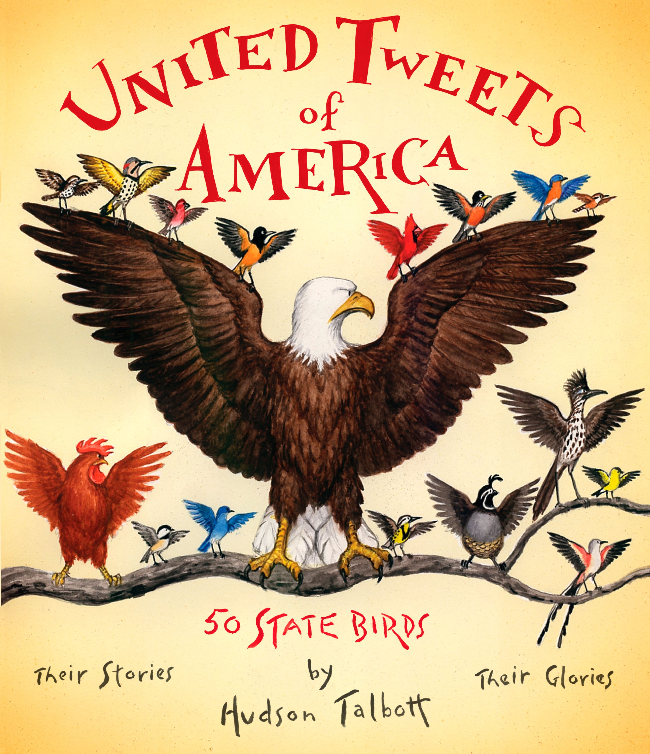 United Tweets of America by Penguin Group PG9780399245206 - Fun State Bird Book for Kids, Educational US Geography Gift for Children, Perfect for Classroom Learning & Family Reading Time