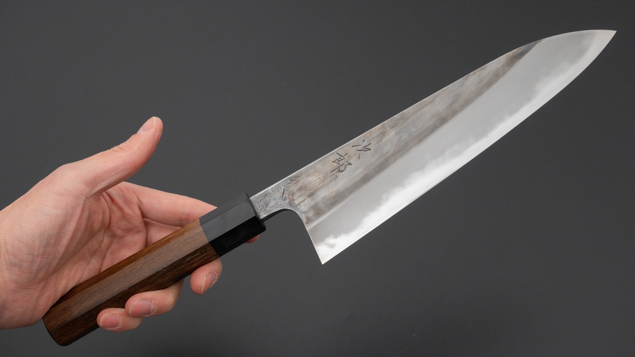 Premium Jiro Tsuchime Wa Gyuto 210mm Japanese Chef Knife with Taihei Tagayasan Handle (#704) - Perfect for Sushi, Sashimi & Precision Meat Cutting