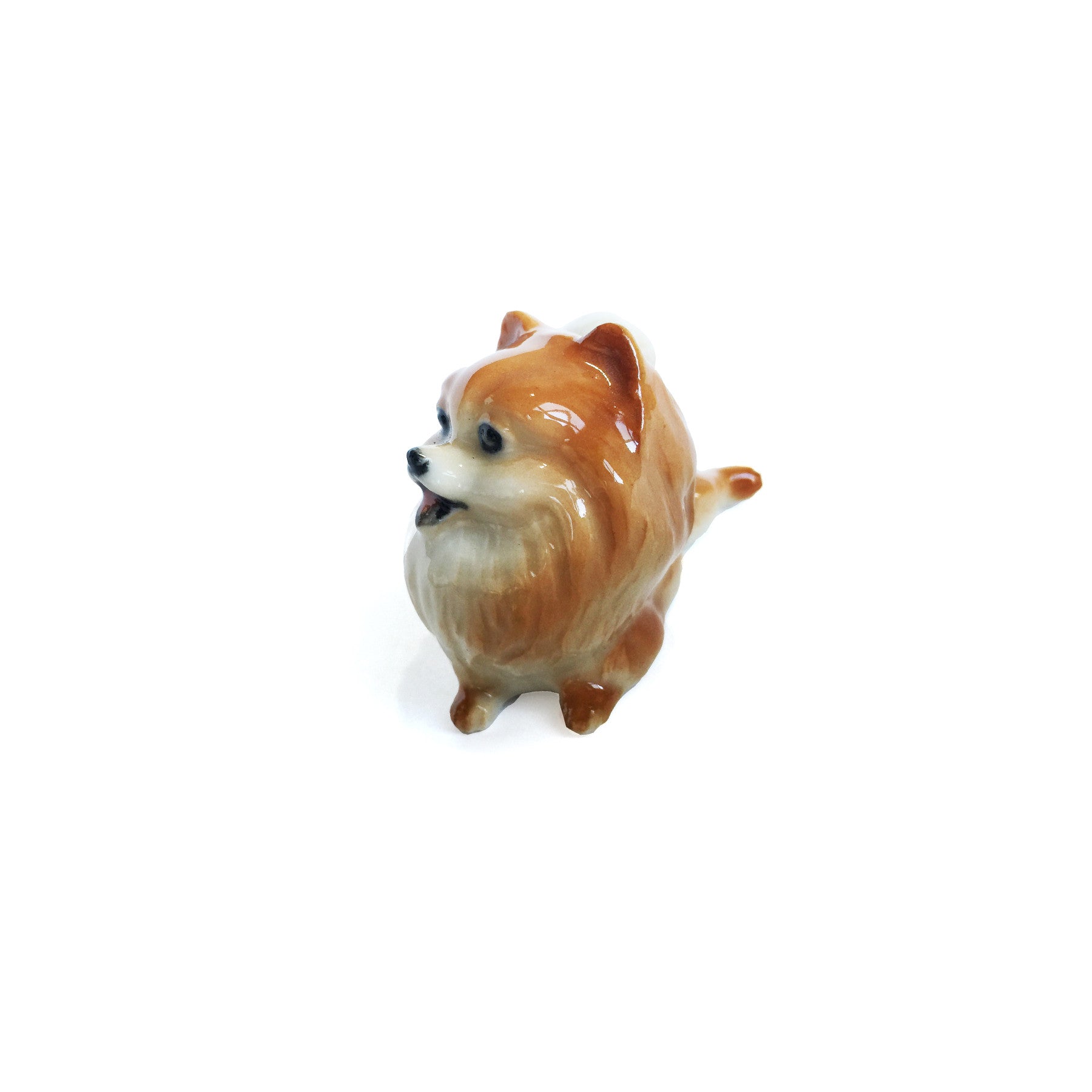 Pomeranian Dog Supplies & Accessories | Premium Pet Products for Small Dogs - Perfect for Grooming, Training & Home Comfort