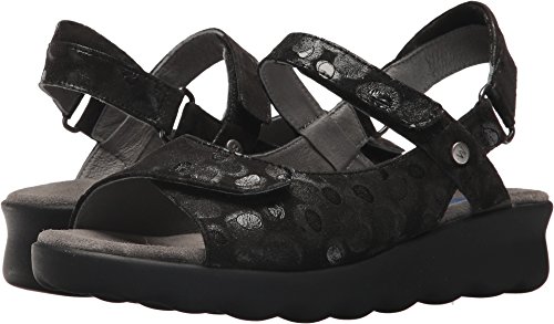 12-000 Black Circles