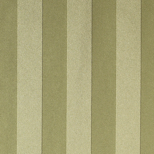 Fern
