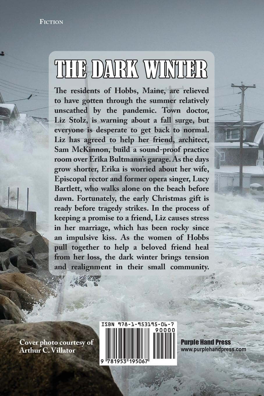 The Dark Winter by Mike Hobbs - Thriller Novel for Cold Nights & Cozy Reading | Perfect for Book Clubs & Mystery Lovers