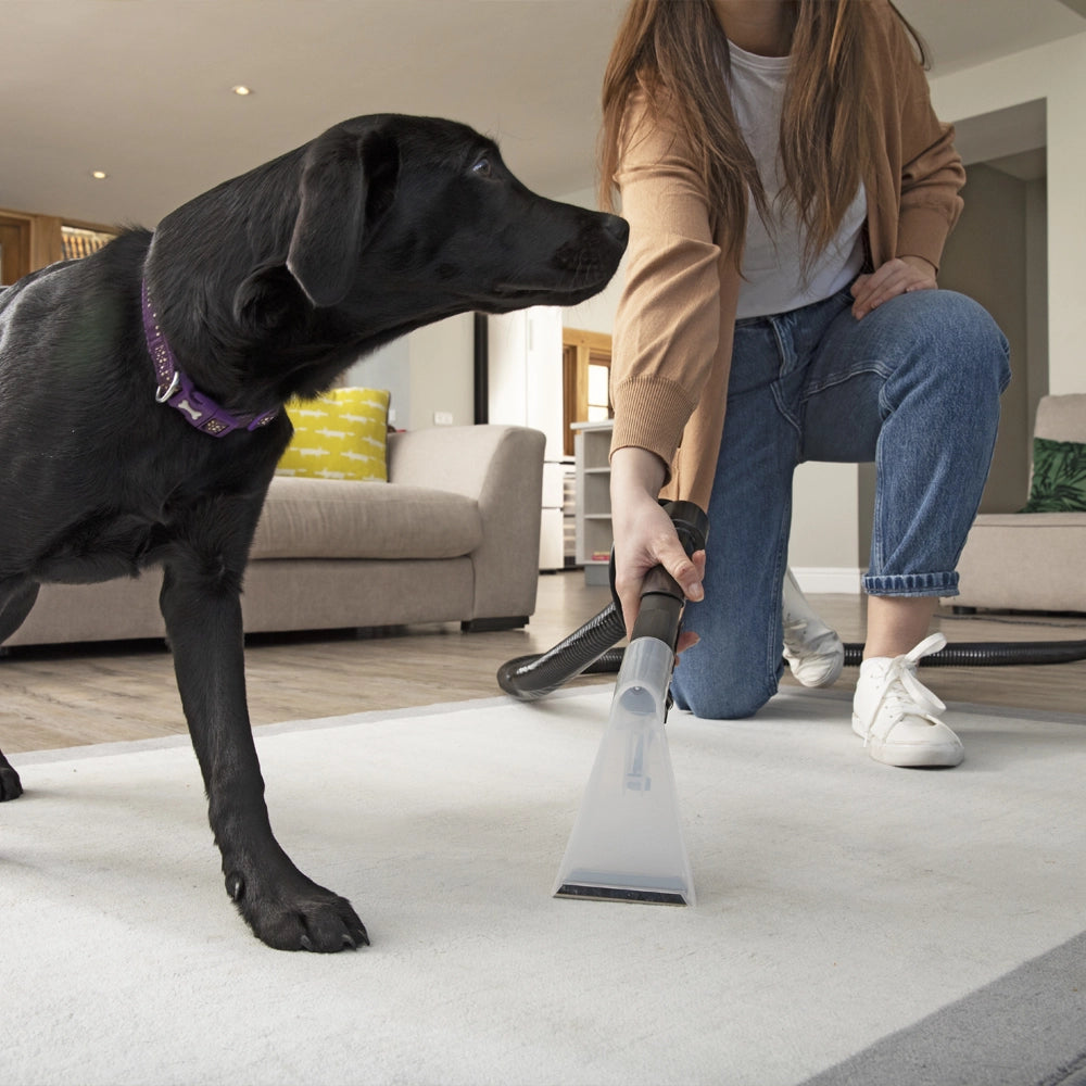Numatic George GVE 370 Wet Dry Extractor Vacuum Cleaner - Powerful Commercial & Home Use for Carpets, Floors, and Upholstery Cleaning