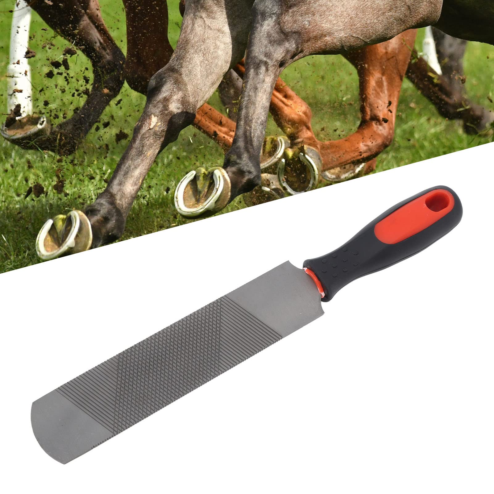 8 Inch Hoof Rasp with Rubber Handle - Professional Farrier File Tool for Horses, Pigs & Goats - Durable Equine Hoof Care Rasp for Trimming, Shaping & Smoothing - Perfect for Stable, Farm & Veterinary Use