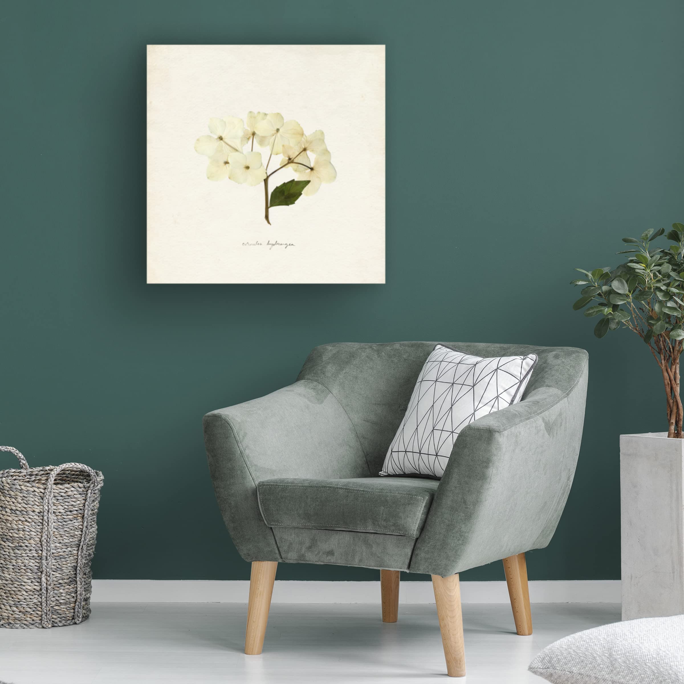 Emma Caroline 'Cornales Hydrangea II' Floral Canvas Wall Art Print - Premium Home Decor for Living Room, Bedroom & Office