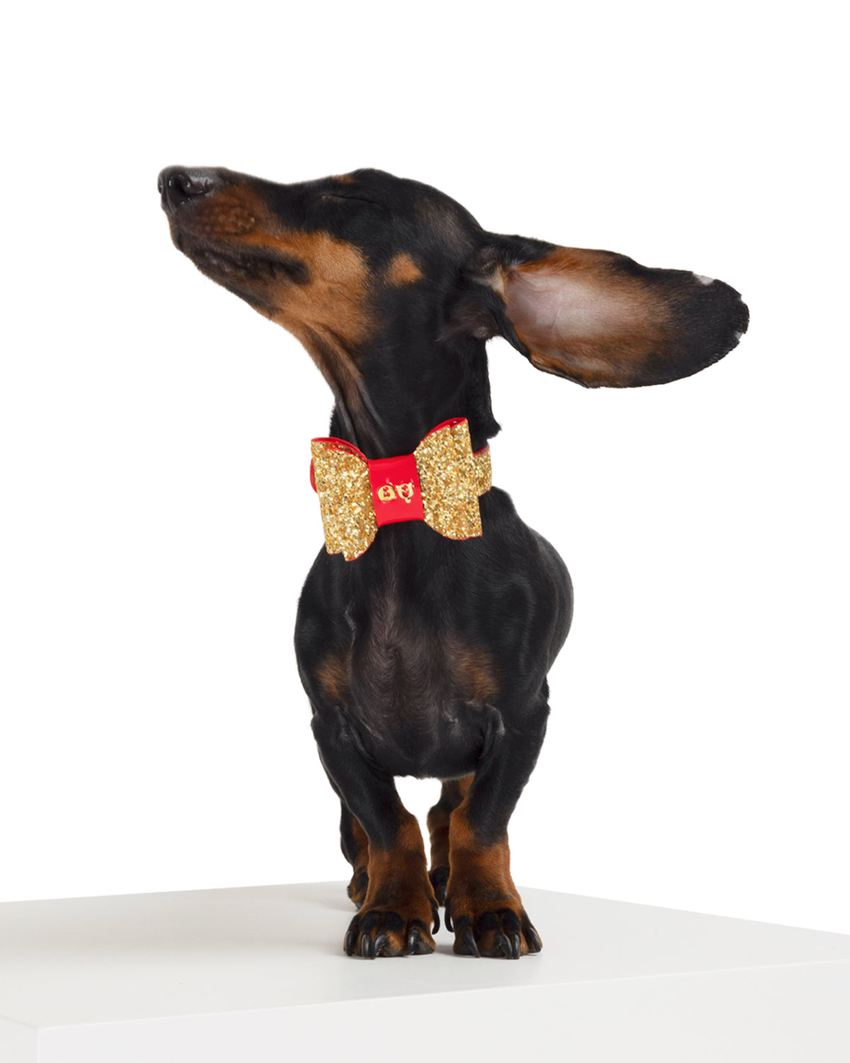 Stylish & Durable Glam Dog Collar for Small & Large Breeds - Perfect for Daily Walks, Training & Fashion Accessories