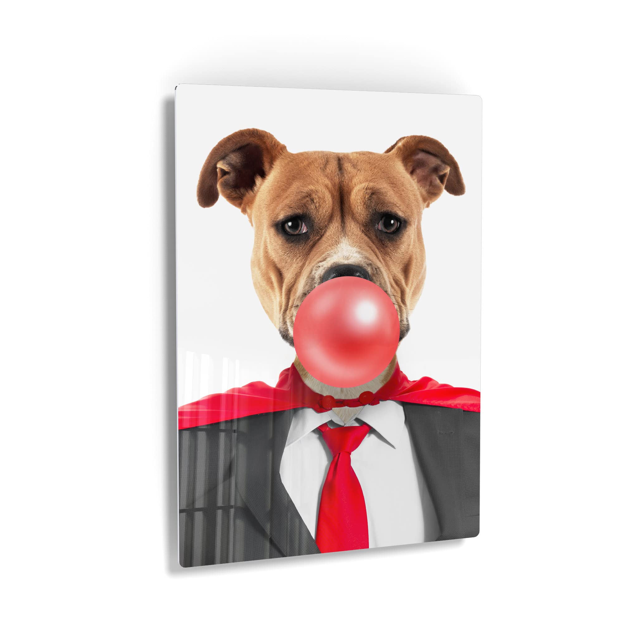 Staffordshire Bull Terrier Superhero Dog Chewing Gum Metal Wall Art Print - Pet Lover Gift, Animal Decor for Living Room, Bedroom, Nursery (24x16 Inches) - Perfect for Dog Themed Rooms & Unique Home Decor