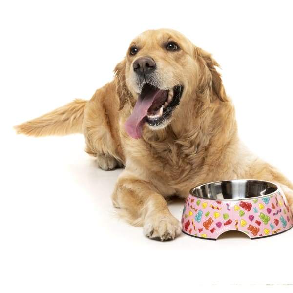 Fuzzyard Jelly Bears Non-Slip Slow Feeder Dog Bowl - Small, Medium, Large - Perfect for Fast Eaters & Puppy Training - Great for Mealtime Fun & Portion Control