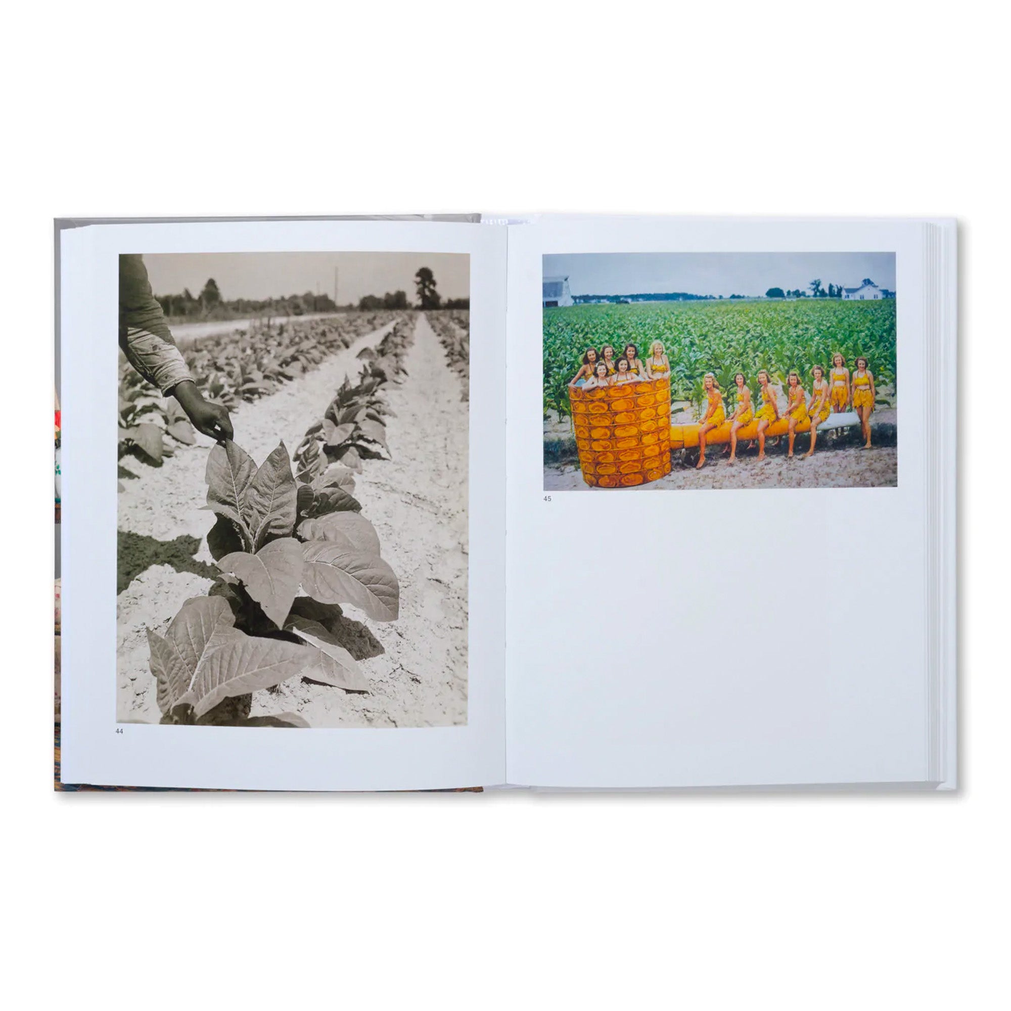 The Image of Whiteness - Softcover Book | Exploring Cultural Identity & Race Relations | Perfect for Book Clubs, Sociology Studies & Personal Reflection