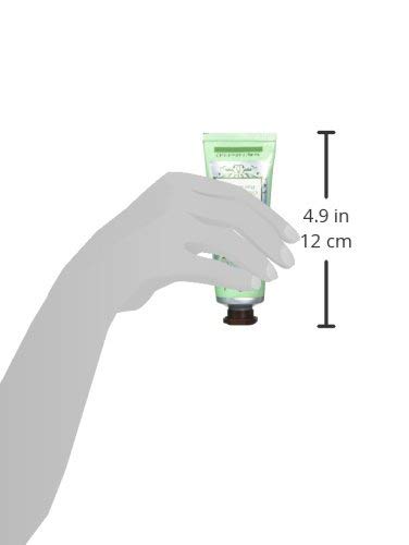 Difeel Luxury Moisturizing Hand Cream with Rosemary - 1.4oz (12 Pack) - Hydrating Hand Lotion Variety Pack for Dry Skin - Perfect for Office, Travel & Gift Giving