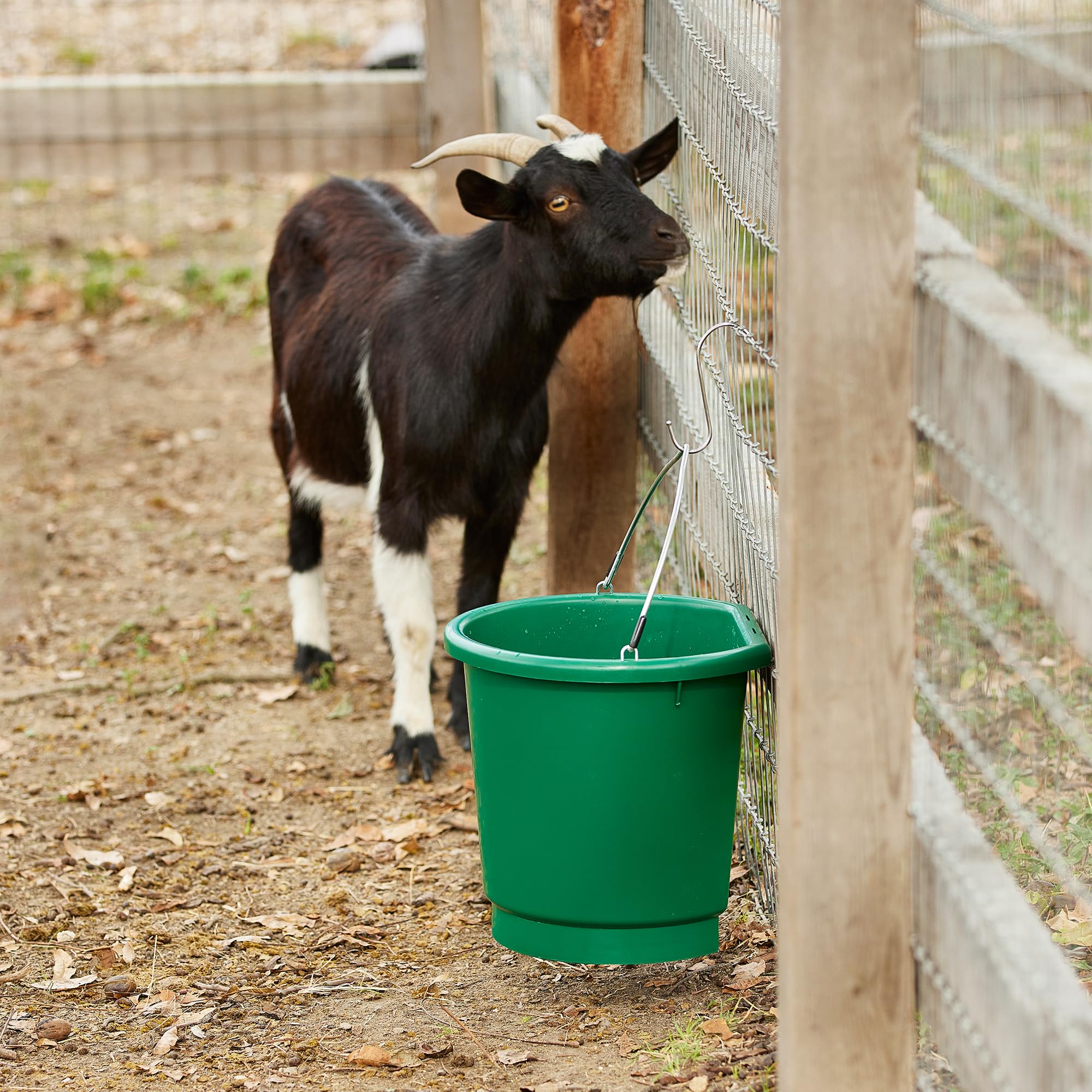 Farm Innovators 3 Gallon Heated Bucket with Thermostat - Green Plastic Flat Back Design, Metal Handle & Hidden Cord Storage - 70W (3 Pack) for Livestock Watering, Winter Pet Care & Outdoor Animal Hydration