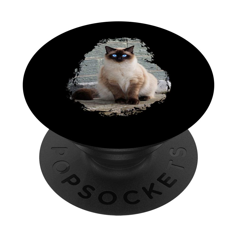Siamese Cat PopSockets Swappable PopGrip - Cute Phone Grip Stand for iPhone & Android - Perfect for Cat Lovers, Phone Drops Protection, Selfie Stick & Car Mount Use