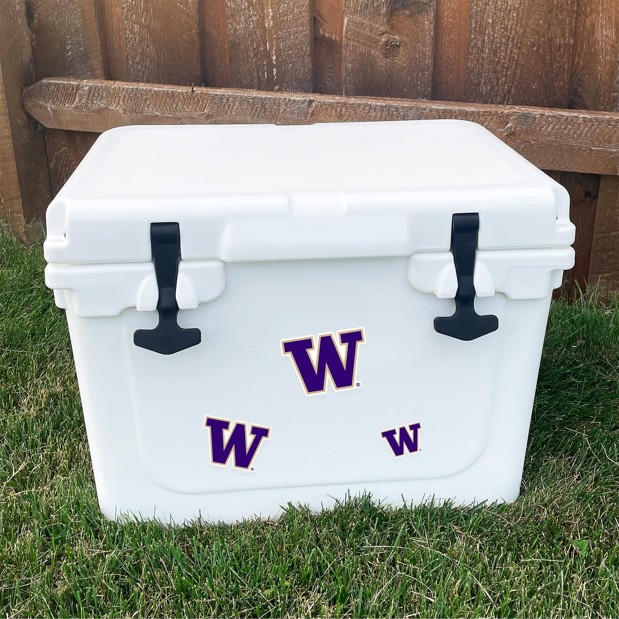 UW Huskies Vinyl Decals - University of Washington Stickers for Laptop, Water Bottle, Car & Scrapbook - Desert Cactus Design - Perfect for School Spirit, College Gifts & Fan Decor