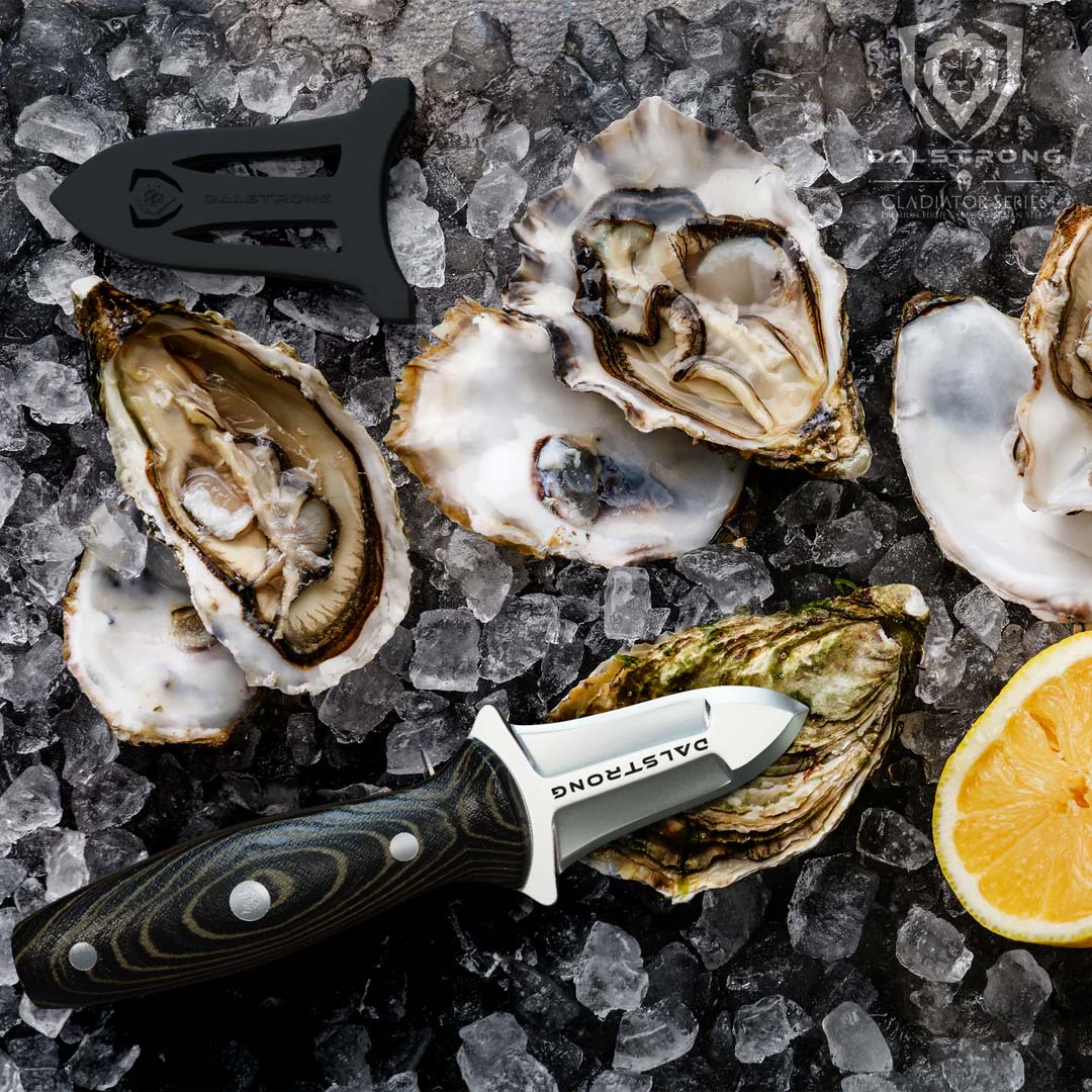Premium Dalstrong Gladiator Series Oyster Shucking Knife - NSF Certified Professional Shellfish Tool for Seafood Lovers | Perfect for Restaurants, Home Kitchens & Outdoor Seafood Parties