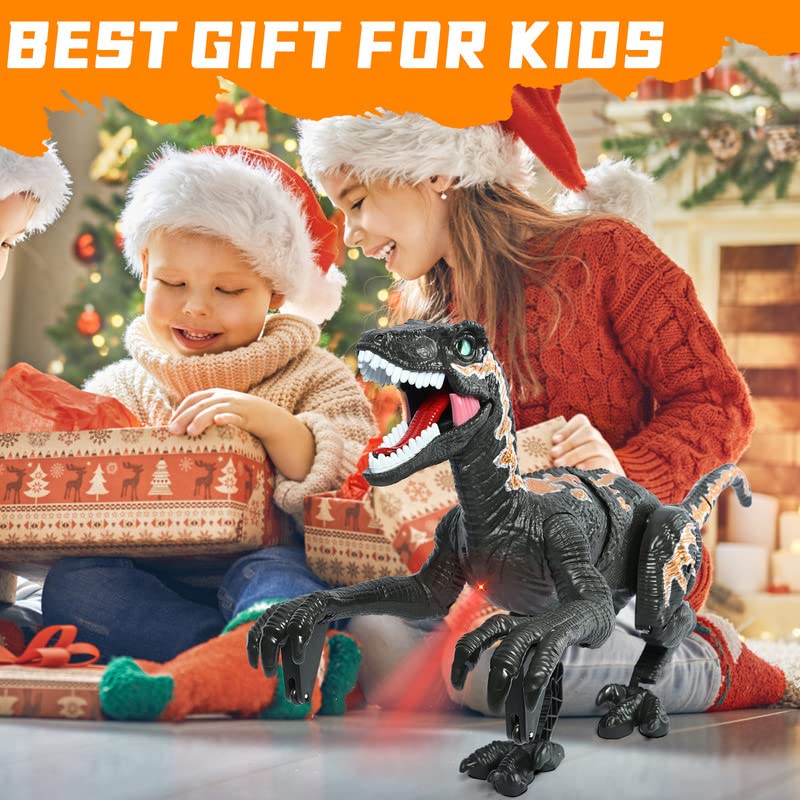 Remote Control Dinosaur Toy - Rechargeable Walking Velociraptor Robot with Light & Sound | Interactive RC Jurassic Toy for Boys & Girls Ages 3-12 | Perfect Birthday Gift for Kids | Indoor Play, Outdoor Adventure & STEM Learning Fun